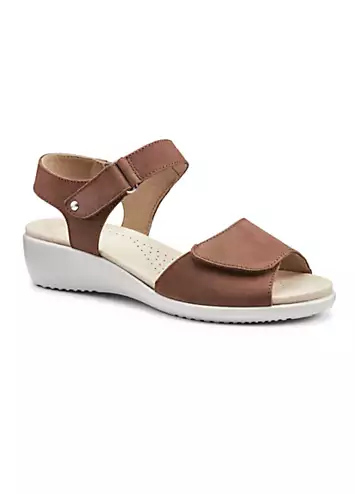 Iyla Rich Tan Women’s Sandals by Hotter | Look Again