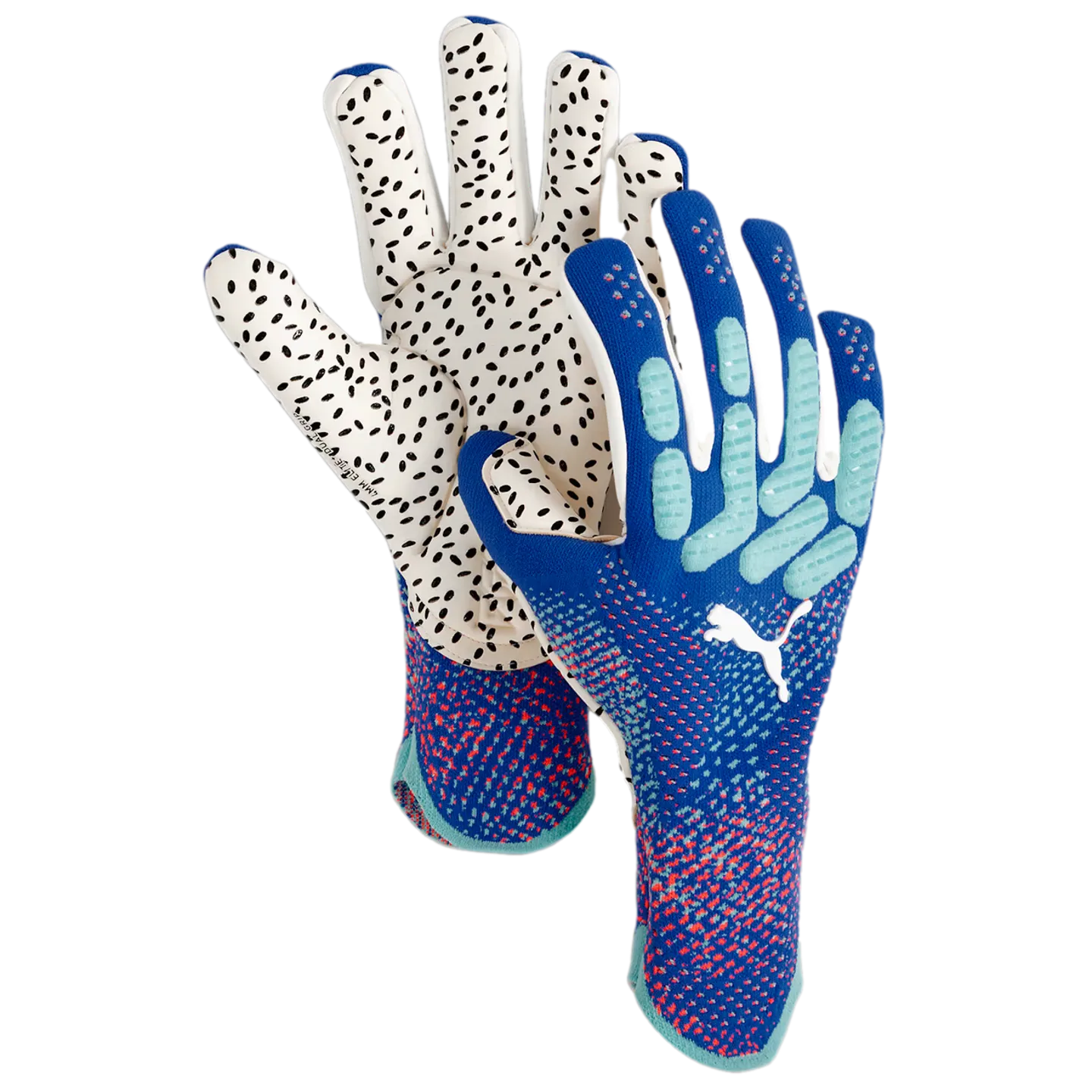 Puma Future Ultimate NC Goalkeeper Gloves